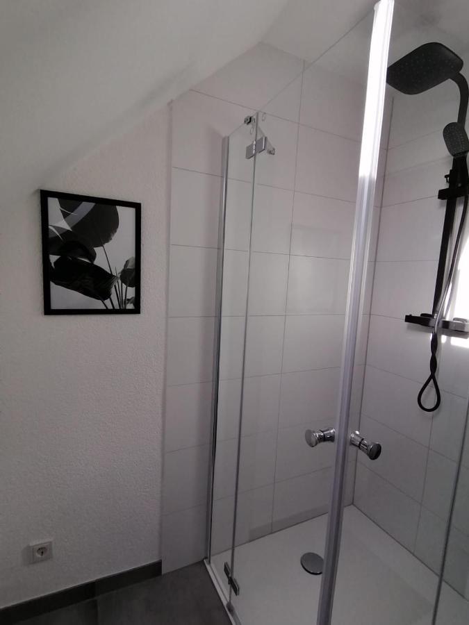 Apartment Eifelstern-schoene Mit Balkon *